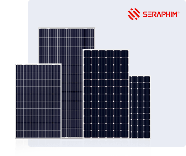 Seraphim